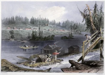 Transport of Wood at “Les Chats” - in “Canadian scenery illustrated” by Bartlett W. H.