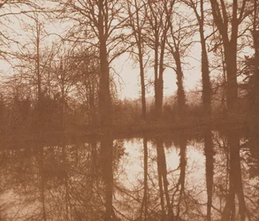 Reflections