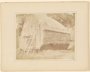 The Haystack