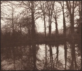 Winter Trees Reflected in a Pond
