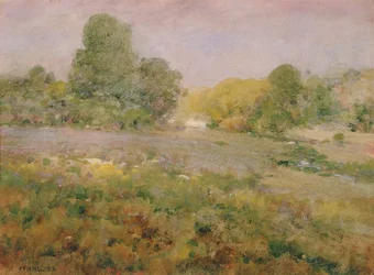 Field of Varicolored Grasses in Late Summer (In the Virginia Hills)