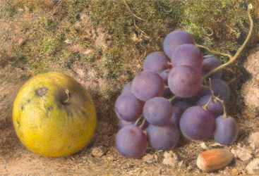 Apple, Grapes and a Cob-Nut