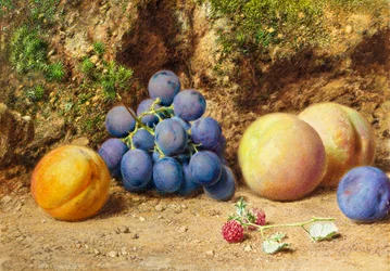 Black Grapes, Peaches, Apricots and Raspberries