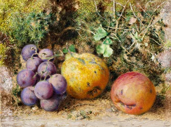 Black Grapes, Quince, and Newtown Pippin