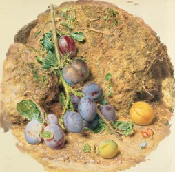 Plums