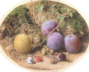Plums and Mulberries