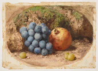 Still Life with Grapes and a Pomegranate