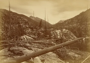 “Roches Moutonnées” Near the Mountain of the Holy Cross