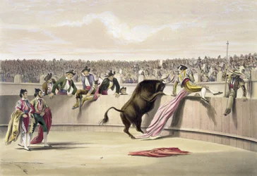 The Bull Leaping the Barriers, 1865