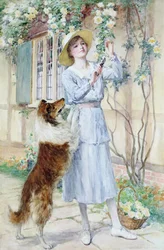 Picking Roses