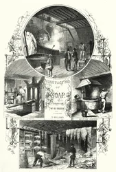 Manufacture of Soap