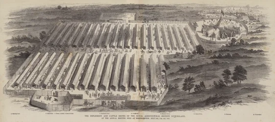 The Implement and Cattle Shows of the Royal Agricultural Society of England, at the Annual Meeting held at Northampton, 20, 21, 22 July 1847