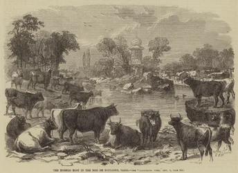 The Horned Host in the Bois de Boulogne, Paris