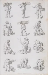 Illustration from 