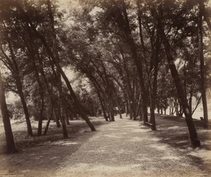 Picnic Grounds