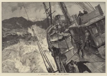 A Snorter in the Bay of Biscay