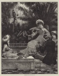 Afternoon Tea