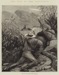 The War in the Transvaal