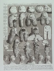 Advertisement for Wigs
