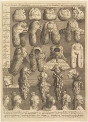 The Five Orders of Periwigs