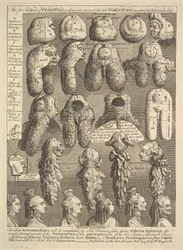 The Five Orders of Periwigs, 1761