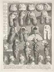 The Five Orders of the Perriwigs