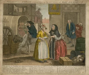 The Progress of a Harlot exemplified in the adventures of Mary Mackabout