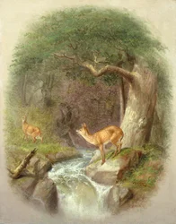 A Cautious Crossing