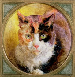 A Head Study of a Tortoiseshell Cat