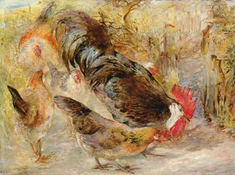 Barn Door Fowl (Rhode Island Reds)