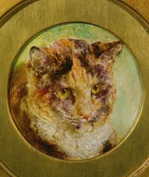 Study of a Tortoiseshell Cat