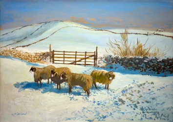 Snow in the Yorkshire Dales