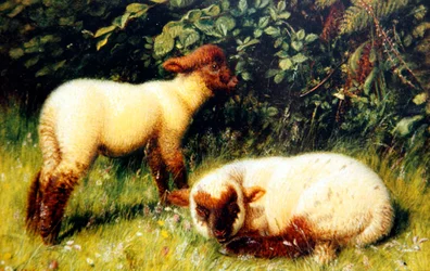 Sheep, c.1860