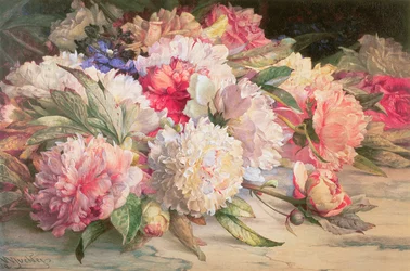 Peonies
