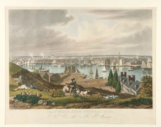 Baltimore From Federal Hill