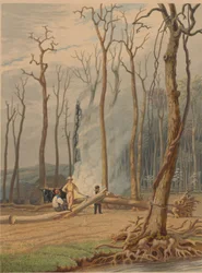Spring--Burning Fallen Trees in a Girdled Clearing. Western Scene