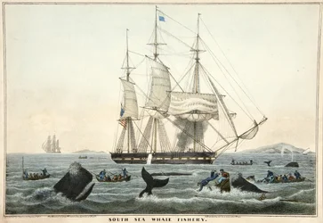 South Sea Whale Fishery, pub. 1825