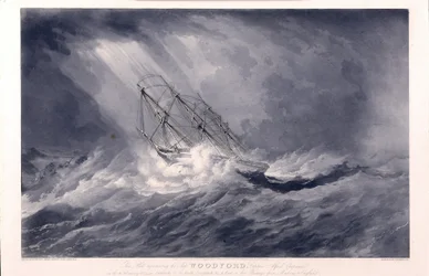 The ship 