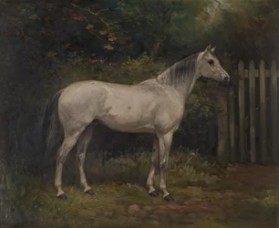 Pickles: a Basuto pony