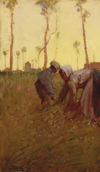 Hay Time