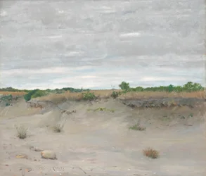Wind-Swept Sands