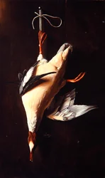Merganser