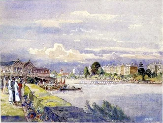 Rowing, Kingston July 11th
