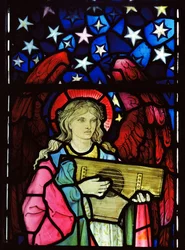 Angel Musician