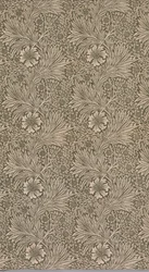 Marigold