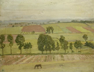 Glastonbury Plain