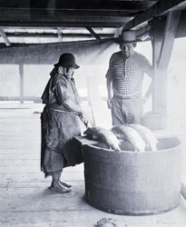 Indian Salmon Cleaner, near New Westminster, British Columbia (Province of Canada)