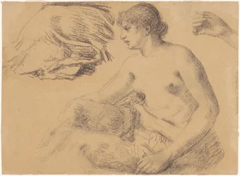 Nude Study