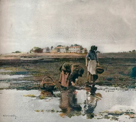 Mussel Picking
