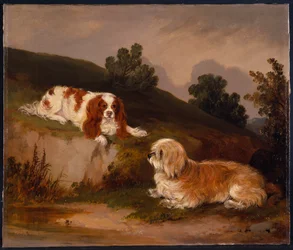 Landscape with Spaniel and Terrier